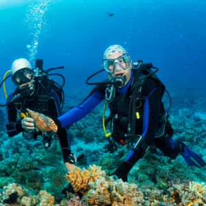 Scuba Diving - Nurkowanie z butlą we Vlorze
